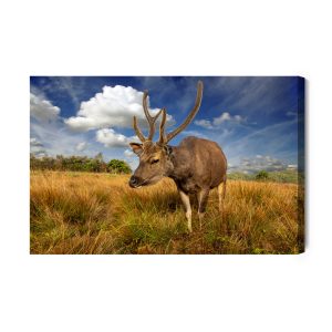 Peinture sur toile Un Cerf Dans Une Clairière – Image 2