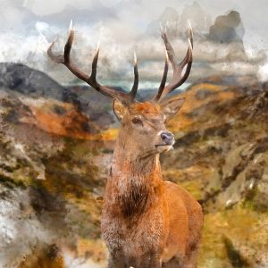 Peinture sur toile Cerf Peint – Image 1