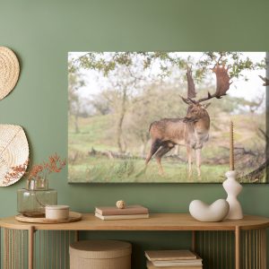 Peinture sur toile Cerf Adulte Avec De Magnifiques Bois – Image 5