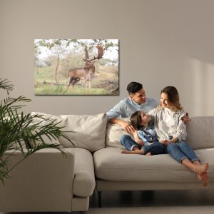 Peinture sur toile Cerf Adulte Avec De Magnifiques Bois – Image 7