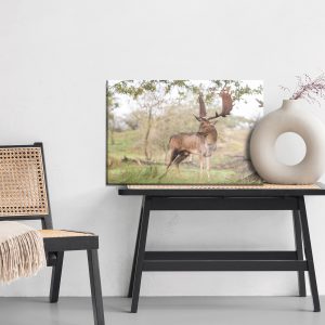Peinture sur toile Cerf Adulte Avec De Magnifiques Bois – Image 6