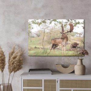 Peinture sur toile Cerf Adulte Avec De Magnifiques Bois – Image 3