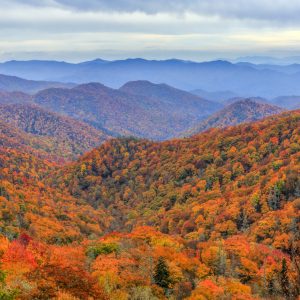 Peinture sur toile Forêt D'automne Dans Les Montagnes – Image 1