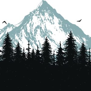 Peinture sur toile Forêt Au Pied Des Montagnes – Image 1