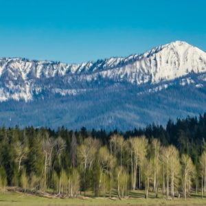 Peinture sur toile Parc National De Grand Teton Aux États-Unis – Image 1