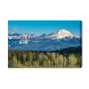 Peinture sur toile Parc National De Grand Teton Aux États-Unis – Image 2