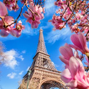 Peinture sur toile Tour Eiffel Entre Magnolias – Image 1