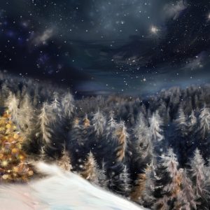 Peinture sur toile Forêt D'hiver La Nuit – Image 1