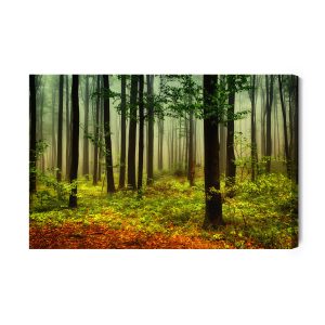 Peinture sur toile Paysage Forestier 3D – Image 2