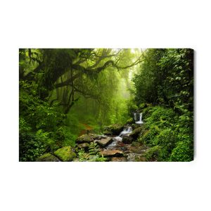 Peinture sur toile Forêt Subtropicale Au Népal – Image 2