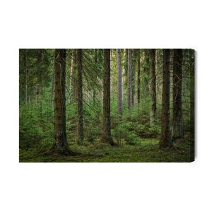 Peinture sur toile Vue 3D De La Forêt – Image 2