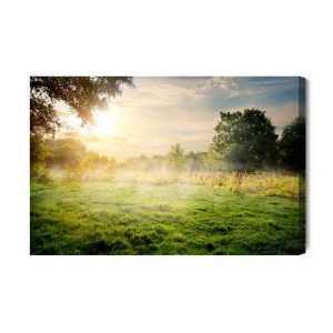 Peinture sur toile Une Clairière Le Matin – Image 2