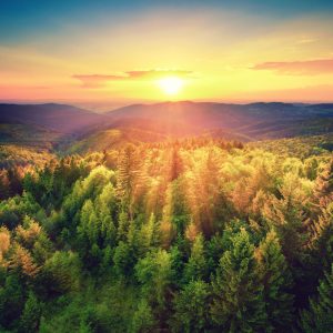 Peinture sur toile Coucher De Soleil Sur Les Collines Forestières – Image 1