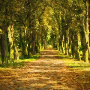 Peinture sur toile Un Chemin Au Milieu De La Forêt – Image 1