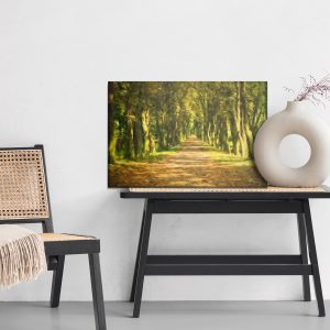 Peinture sur toile Un Chemin Au Milieu De La Forêt – Image 6