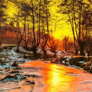 Peinture sur toile Coucher De Soleil Dans La Forêt – Image 1
