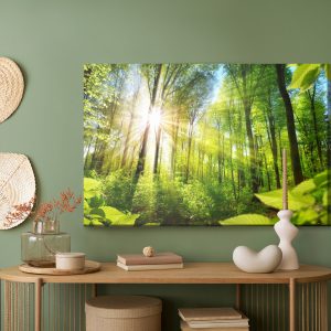 Peinture sur toile Lever Du Soleil Dans Une Forêt Verte – Image 5