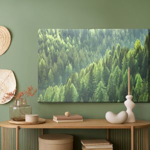 Peinture sur toile Forêt De Conifères Verte – Image 5