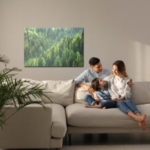 Peinture sur toile Forêt De Conifères Verte – Image 7