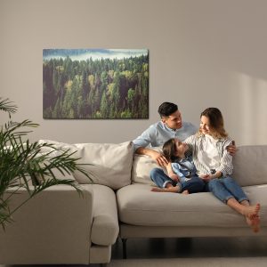 Peinture sur toile Forêt Avec Brouillard En Arrière-Plan – Image 7