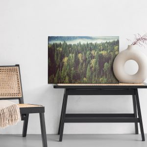 Peinture sur toile Forêt Avec Brouillard En Arrière-Plan – Image 6