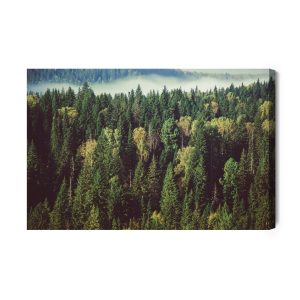 Peinture sur toile Forêt Avec Brouillard En Arrière-Plan – Image 2