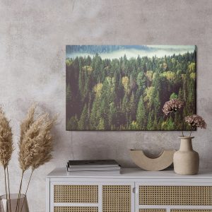 Peinture sur toile Forêt Avec Brouillard En Arrière-Plan – Image 3