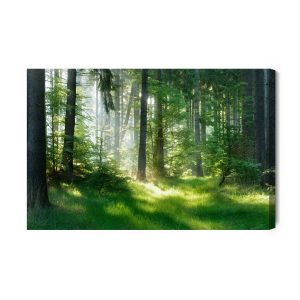 Peinture sur toile Le Soleil Pointe Dans La Forêt – Image 2