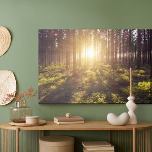 Peinture sur toile Les Rayons Du Soleil Dans La Forêt – Image 5