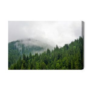 Peinture sur toile Brouillard Sur La Forêt De Conifères – Image 2
