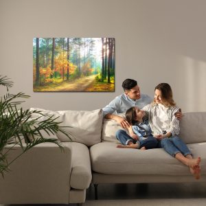 Peinture sur toile Rayons Du Soleil Dans La Forêt 3D – Image 7