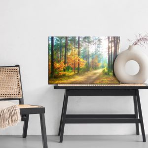 Peinture sur toile Rayons Du Soleil Dans La Forêt 3D – Image 6