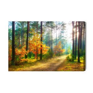 Peinture sur toile Rayons Du Soleil Dans La Forêt 3D – Image 2