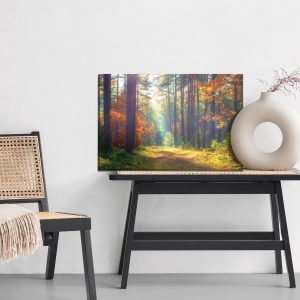 Peinture sur toile Forêt D'automne Au Soleil Du Matin – Image 6