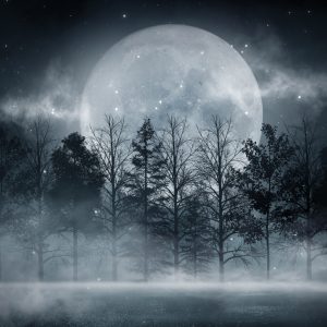Peinture sur toile Pleine Lune Dans Une Forêt Brumeuse – Image 1