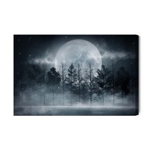 Peinture sur toile Pleine Lune Dans Une Forêt Brumeuse – Image 2