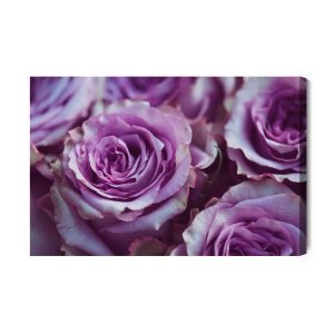 Peinture sur toile Belles Roses Violettes – Image 2