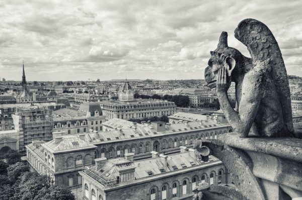 Cathedral of Notre Dame in Paris