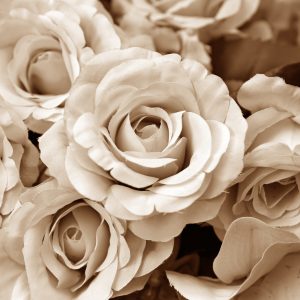 Peinture sur toile Pétales De Rose Vintage – Image 1