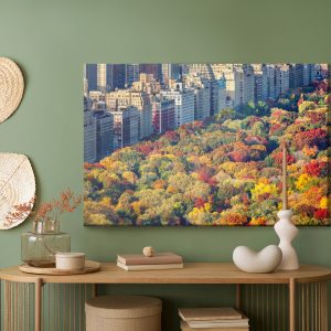 Peinture sur toile Vue Aérienne De Central Park – Image 5