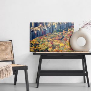 Peinture sur toile Vue Aérienne De Central Park – Image 6