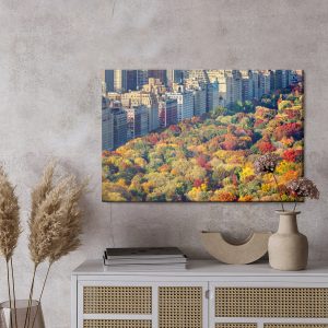 Peinture sur toile Vue Aérienne De Central Park – Image 3