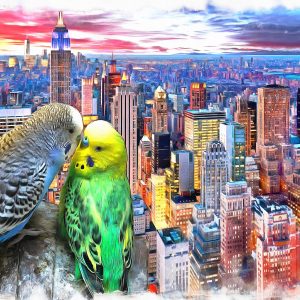 Peinture sur toile Perruches Ondulées Sur Fond De New York – Image 1