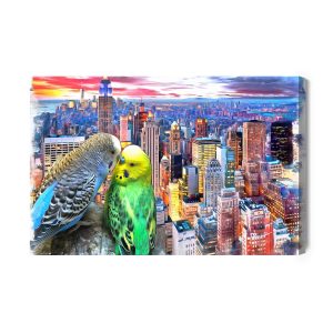 Peinture sur toile Perruches Ondulées Sur Fond De New York – Image 2
