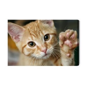 Peinture sur toile Agitant Le Chaton 3D – Image 2