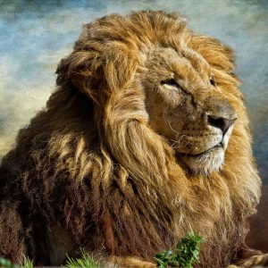Peinture sur toile Lion 3D Majestueux – Image 1