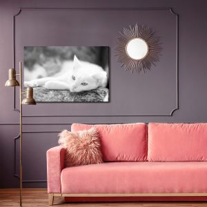 Peinture sur toile Un Chat Blanc Au Repos – Image 4