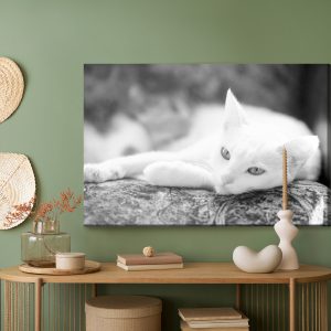 Peinture sur toile Un Chat Blanc Au Repos – Image 5