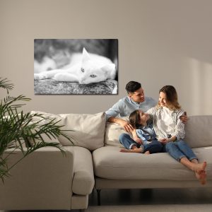 Peinture sur toile Un Chat Blanc Au Repos – Image 7