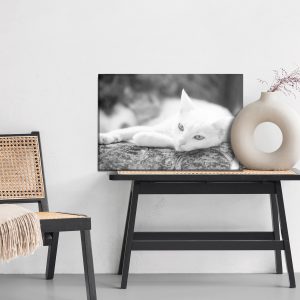 Peinture sur toile Un Chat Blanc Au Repos – Image 6